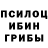 Псилоцибиновые грибы Psilocybine cubensis IFistMonkeysForFun