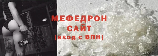 индика Няндома