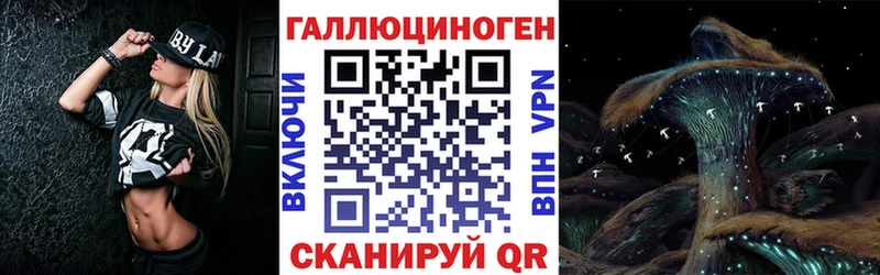 дарк нет формула  Судак  Псилоцибиновые грибы мицелий 